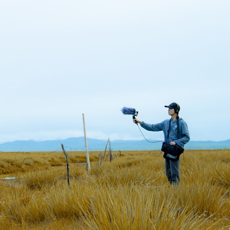 Deity V-Mic D3 Pro Kit Directional Condenser Shotgun Microphone with Shock Mount with Handle (Black) - free shipping - PMc TechLife - Order now!