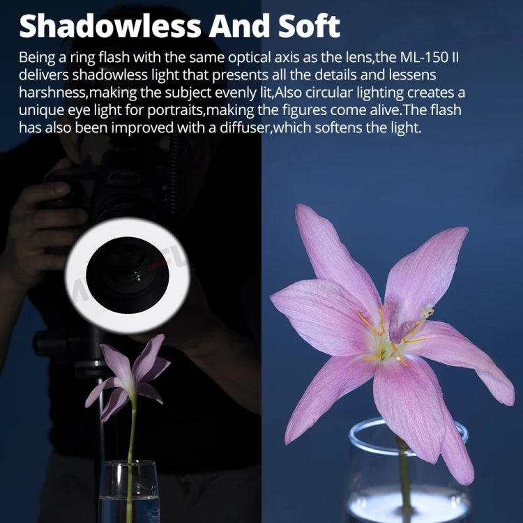 Godox ML-150II On-camera Macro Ring Flash Light with 8 Different Size Adapter Rings (Black) - free shipping - PMC TechLife - Order now!