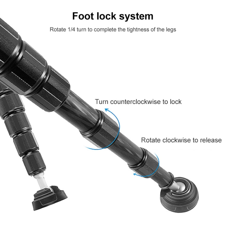 BEXIN P336C Camera Carbon Fiber Monopod Travel Live Selfie Bracket Holder - Monopods by BEXIN | Online Shopping South Africa | PMC TechLife | Buy Now Pay Later Mobicred