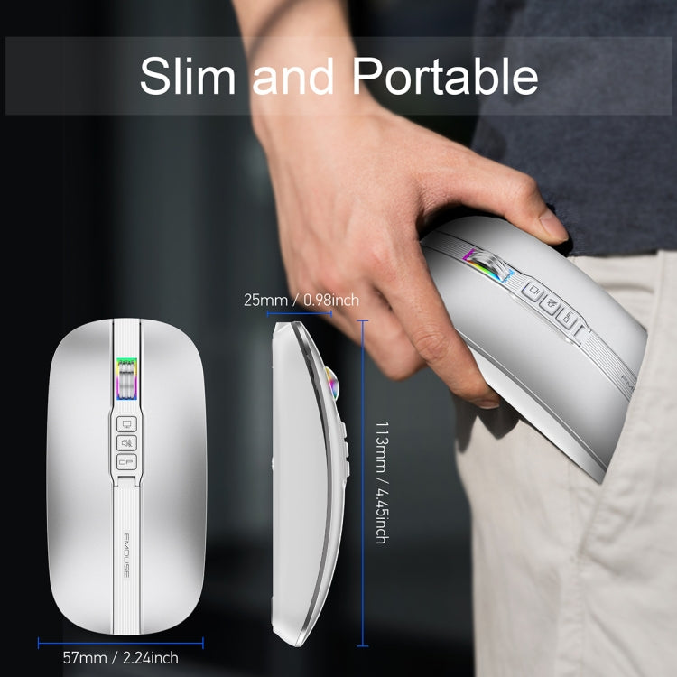 HXSJ M113 2400DPI Dual Mode 2.4GHz + Bluetooth 5.1 Wireless Mouse(Space Silver) - free shipping - PMC Jewellery - Order now!