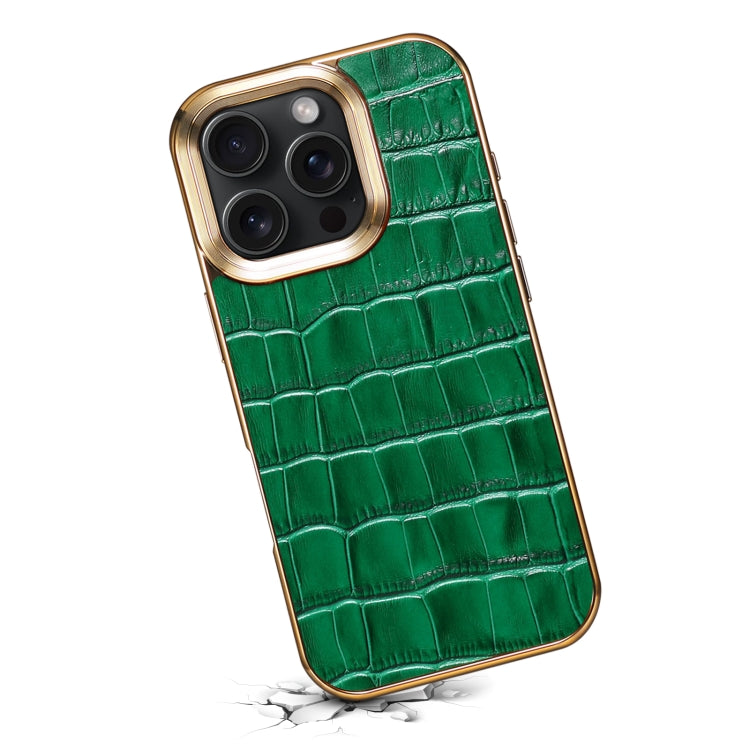For iPhone 16 Pro Max Denior Crocodile Texture Genuine Leather Electroplating Phone Case(Green) - free shipping - PMC Jewellery - Order now!