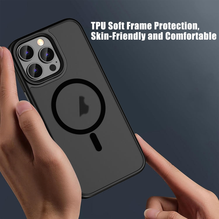 For iPhone 16 Plus Skin Feel Frosted MagSafe Magnetic Phone Case(Transparent Black) - iPhone 16 Plus Cases by PMC TechLife | Online Shopping South Africa | PMC TechLife | Buy Now Pay Later Mobicred