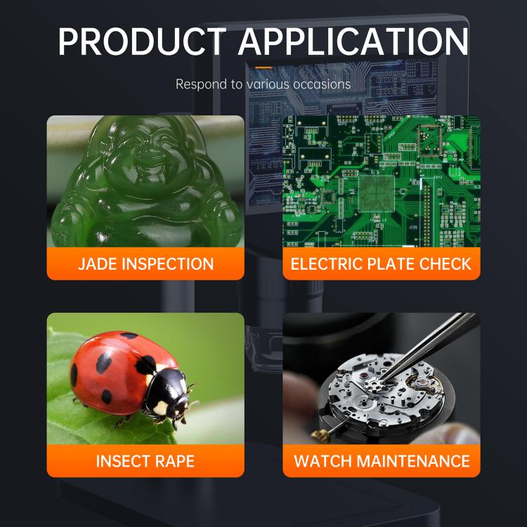 EDA008937501A_6.jpg@ef58f69e5786d1d38bcb27951a988a9d