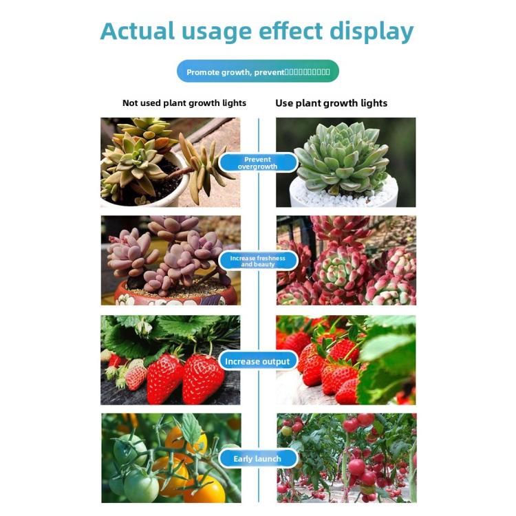 LED0295_6.jpg@c4bbb60cd1cbacc764be9840f1343ecb