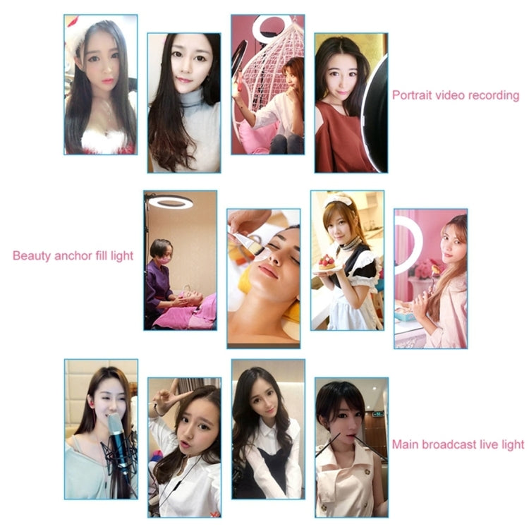 18 inch 55W Two-speed Dimmable Anchor Photography Self-timer LED Ring Fill-in Light with Tripod - Ring Light by PMC TechLife | Online Shopping South Africa | PMC TechLife | Buy Now Pay Later Mobicred