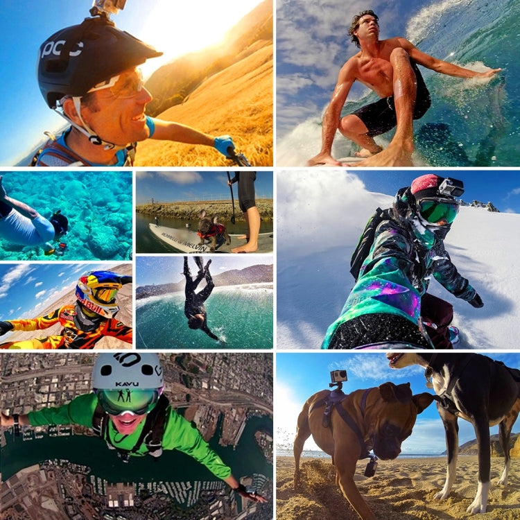 PULUZ Waterproof Carrying and Travel Case for GoPro, Insta360, DJI and Other Action Cameras Accessories, Large Size: 32cm x 22cm x 7cm - Carry Cases by PULUZ | Online Shopping South Africa | PMC TechLife | Buy Now Pay Later Mobicred