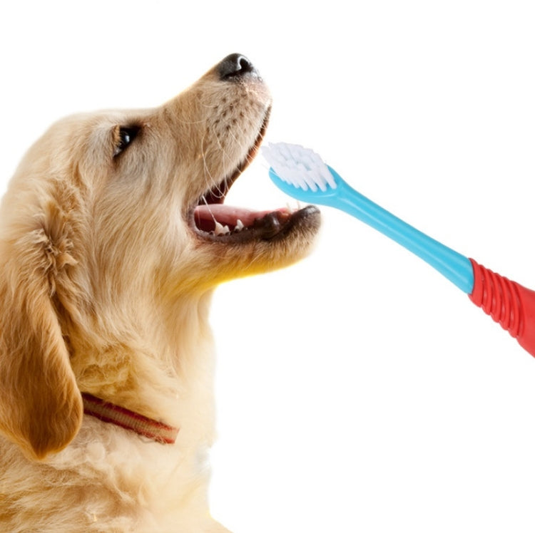 Pet Double-Head Toothbrush Pet Oral Cleaning Products(Blue) - Oral Cleaning Tools by PMC TechLife | Online Shopping South Africa | PMC TechLife