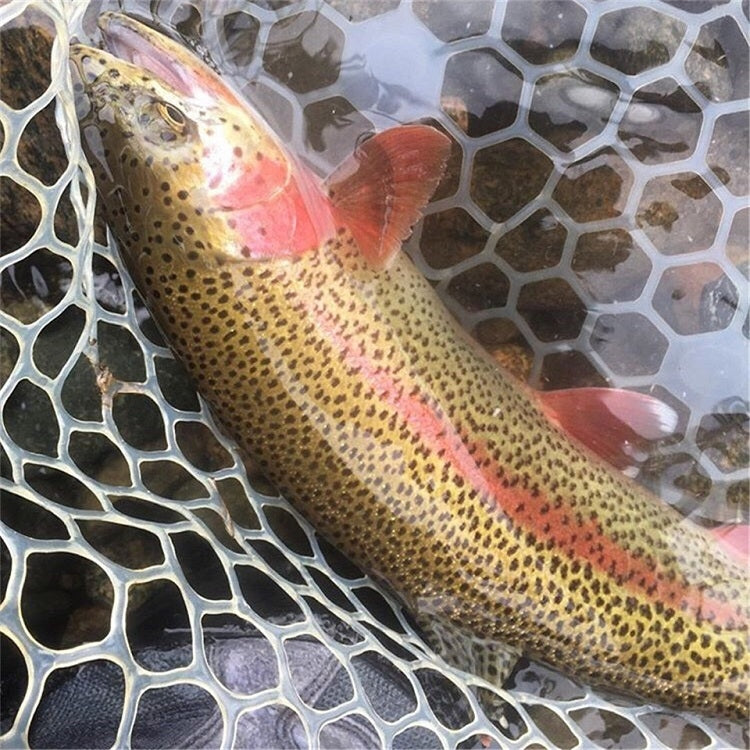 Transparent Soft Rubber Fishing Net Replacement Bag, Size: Large 120cm - Fishing Net by PMc TechLife | Online Shopping South Africa | PMc TechLife | Buy Now Pay Later Mobicred