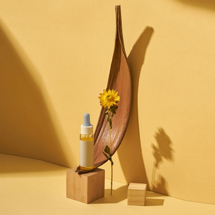 35-39 cm Cocoa Leaves Natural Plant Shooting Props Dry Flower Ornaments - Other Props by PMC TechLife | Online Shopping South Africa | PMC TechLife | Buy Now Pay Later Mobicred