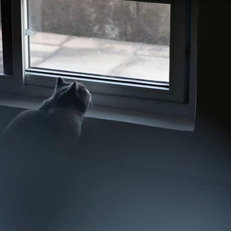 79mm+2 Handheld Diopter Blur Special Effect Photography Camera Accessories - Other Filter by PMC TechLife | Online Shopping South Africa | PMC TechLife