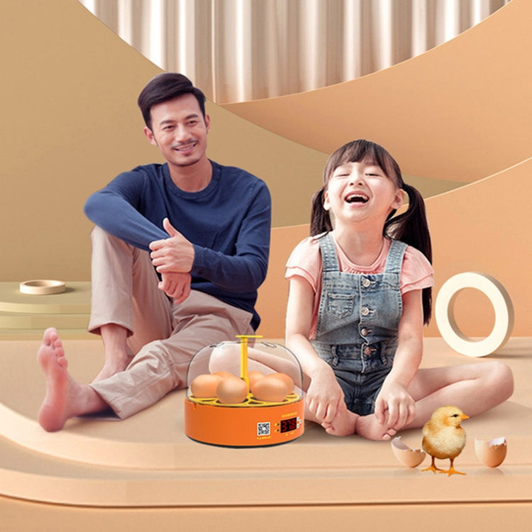6-Eggs Small Household Experimental Children Smart Chicken Incubators, Spec: Manual UK Plug - Incubators by PMC TechLife | Online Shopping South Africa | PMC TechLife