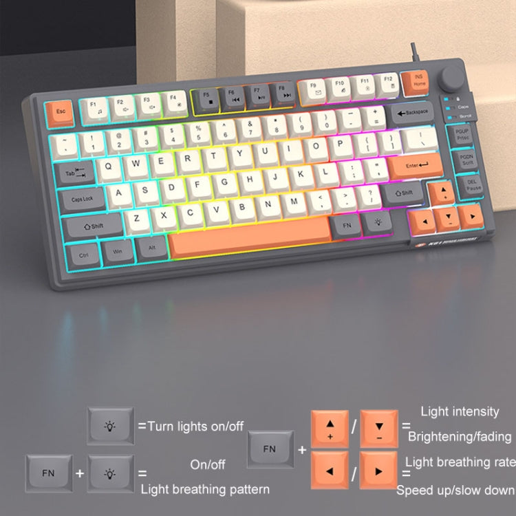 XUNSVFOX K81 Laptop Gaming Office Wired Illuminated Keyboard(Violet) - free shipping - PMC Jewellery - Order now!