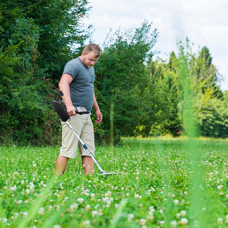 TBD06059864_6.jpg@68a34e7d65efc00b80067dbb8a13e77d