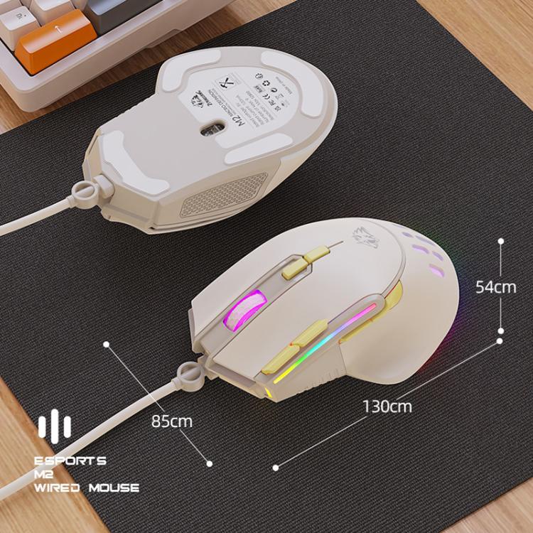 TBD06065448_B8.jpg@9c6fa3318f44960a64afd8873ef4542a