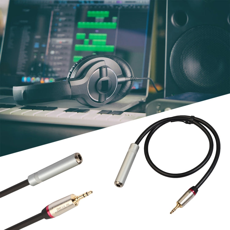 REXLIS TC128MF 3.5mm Male to 6.5mm Female Audio Adapter Cable, Length: 30cm - Audio Adapter by REXLIS | Online Shopping South Africa | PMC TechLife | Buy Now Pay Later Mobicred