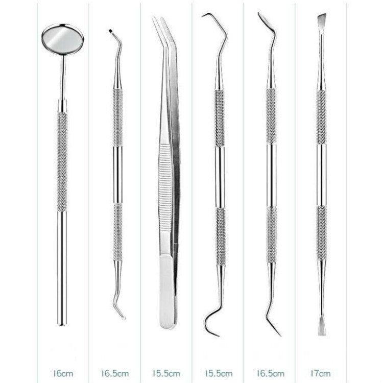 5 in 1 Steel Side Leather Case Stainless Steel Dental Tools Dental Care Tartar Tool Dentist Tool Set - Dental Tools by PMC TechLife | Online Shopping South Africa | PMC TechLife