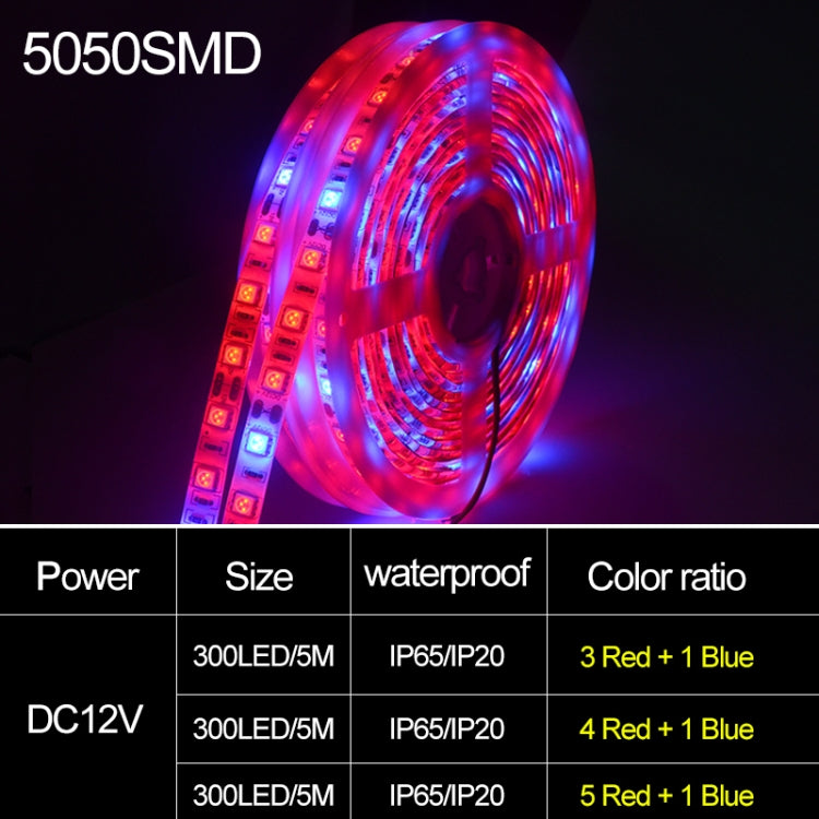 5m 300 LEDs SMD 5050 Full Spectrum LED Strip Light Fitolampy Grow Lights for Greenhouse Hydroponic Plant Waterproof(5 Red 1 Blue) - LED Grow Lights by PMC TechLife | Online Shopping South Africa | PMC TechLife