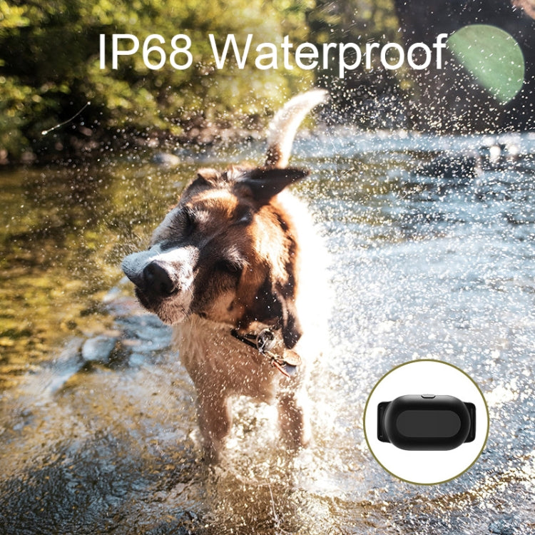 Dog Training Collar Smart 400m Remote Control Pet Training Device, Specification: Receiver - Training Aids by PMC TechLife | Online Shopping South Africa | PMC TechLife | Buy Now Pay Later Mobicred
