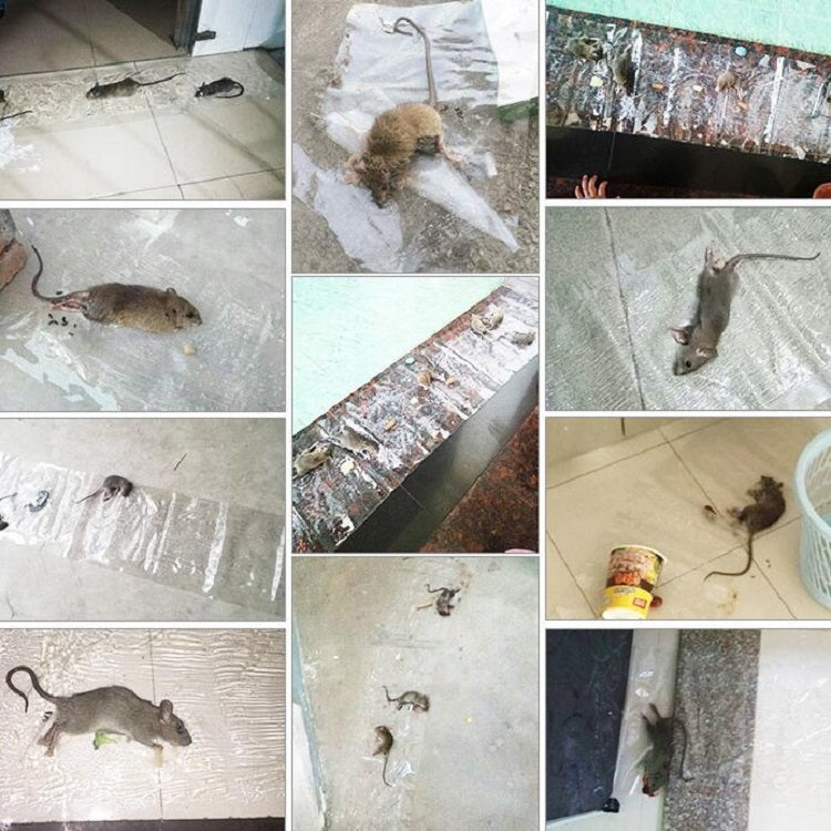 Anti-rodent Strong Sticky Board Transparent Sticky Mouse with Mousetrap Glue - free shipping - PMC TechLife - Order now!