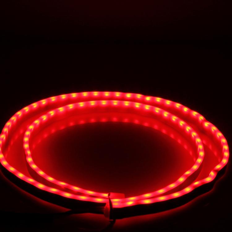 CMS0589_4.jpg@4255c93f2a4566deb800eeac056d6f77