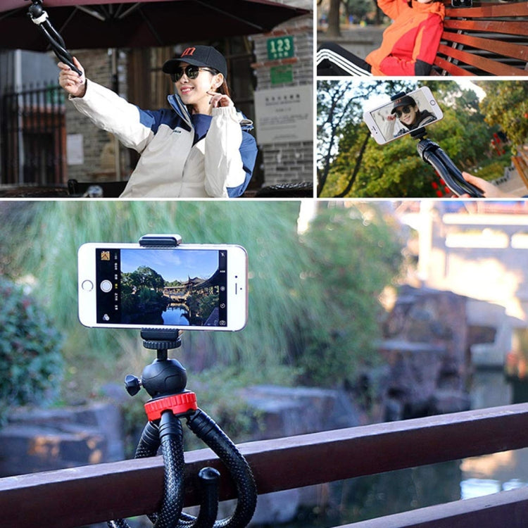 MZ305 Mini Octopus Flexible Tripod Holder with Ball Head for SLR Cameras, GoPro HERO10 Black / HERO9 Black / HERO8 Black /7 /6 /5 /5 Session /4 Session /4 /3+ /3 /2 /1, DJI Osmo Action, Xiaoyi and Other Action Cameras, Cellphone, Size:30cmx5cm - Portable Mini Tripod by PMC TechLife | Online Shopping South Africa | PMC TechLife | Buy Now Pay Later Mobicred