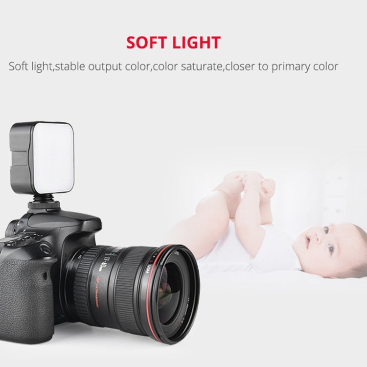 YELANGU LED01 49 LED Video Light for Camera / Video Camcorder (Black) - free shipping - PMC TechLife - Order now!