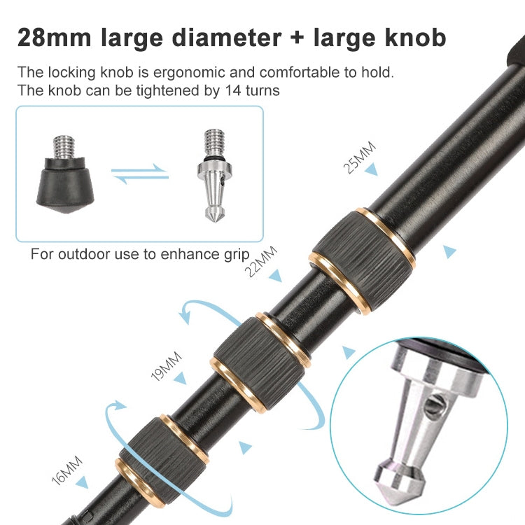 TRIOPO 554 Adjustable Portable  Aluminum Alloy Tripod with D-2A Ball Head for SLR Camera - free shipping - PMC TechLife - Order now!