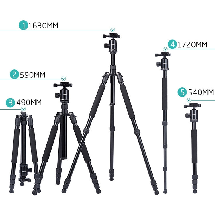 TRIOPO Oubao A-608S  Adjustable Portable  Aluminum Alloy Tripod with Ball Head for SLR Camera - free shipping - PMC TechLife - Order now!