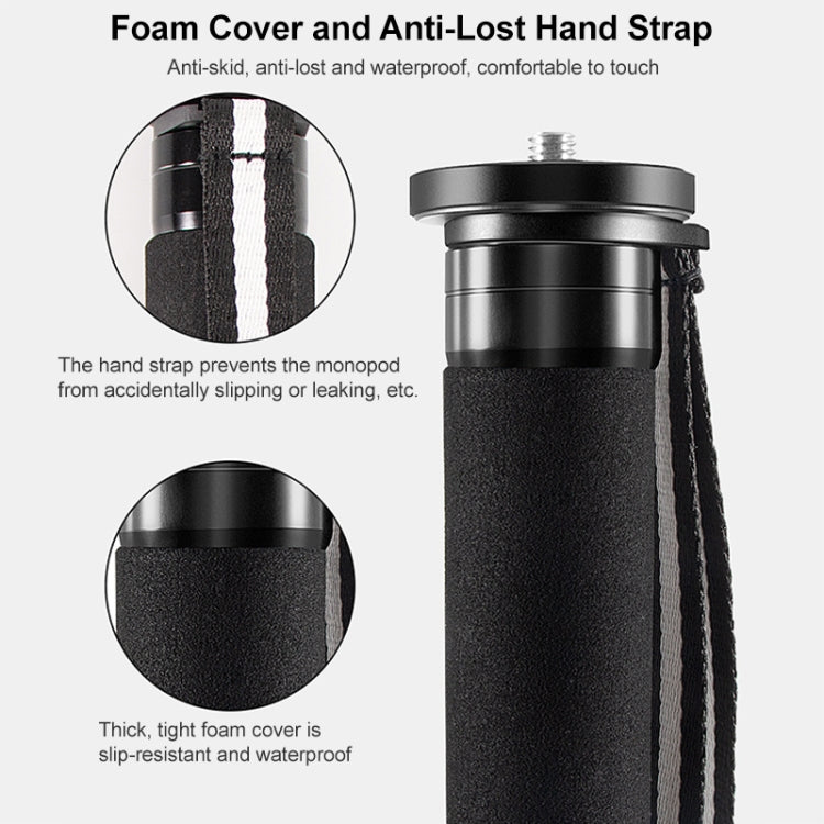 BEXIN P405C Camera Carbon Fiber Monopod Travel Live Selfie Bracket Holder - Monopods by BEXIN | Online Shopping South Africa | PMC TechLife | Buy Now Pay Later Mobicred