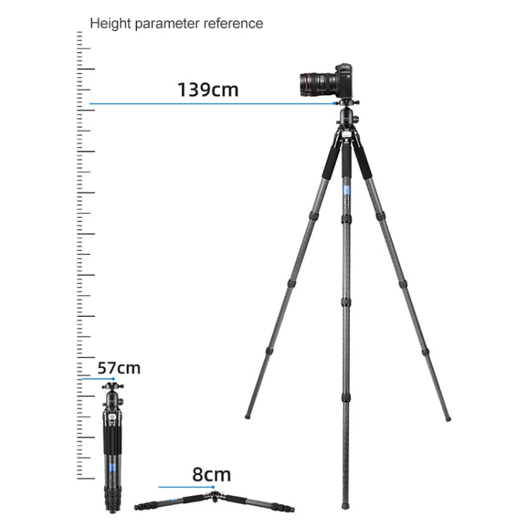 BEXIN RC294 Portable Collapsible Carbon Fiber Camera Tripod with K44 Panoramic Ball Head - Tripods by PMC TechLife | Online Shopping South Africa | PMC TechLife | Buy Now Pay Later Mobicred
