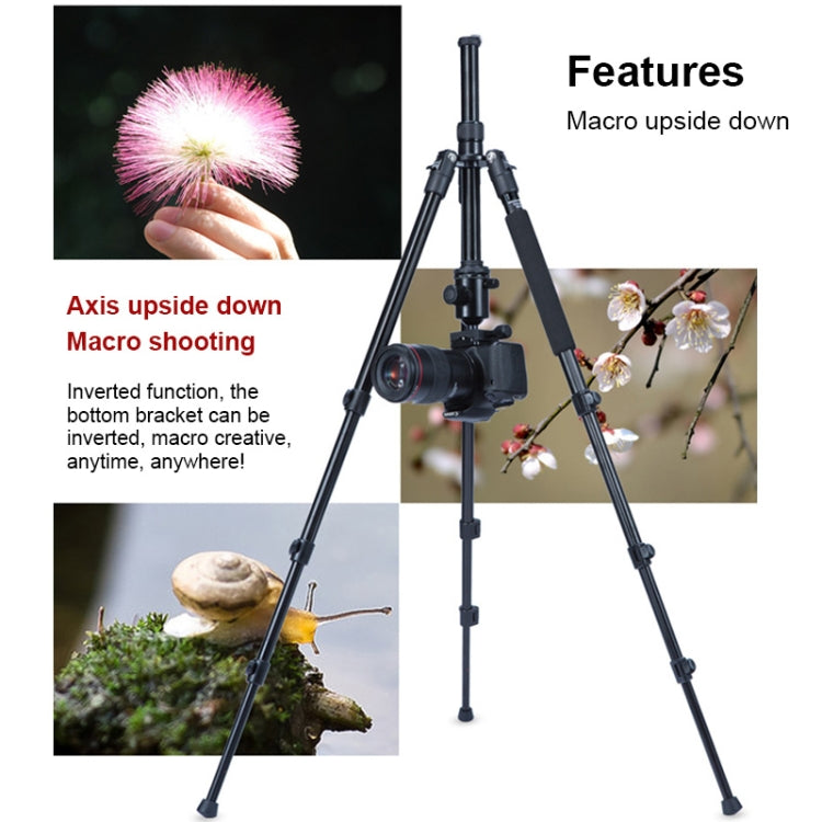 TRIOPO Oubao A-308S Adjustable Portable  Aluminum Alloy Tripod with Ball Head for SLR Camera - free shipping - PMC TechLife - Order now!