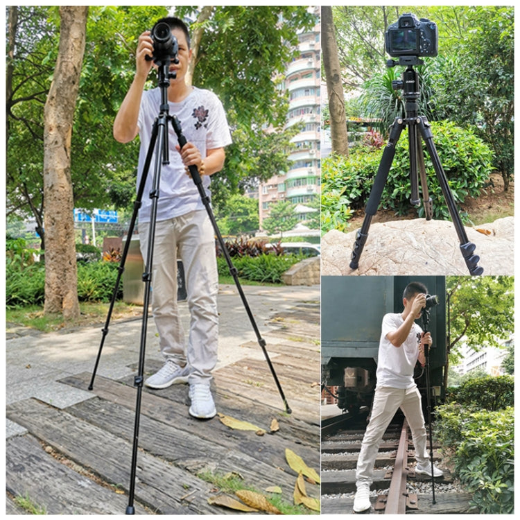 TRIOPO Oubao A-308S Adjustable Portable  Aluminum Alloy Tripod with Ball Head for SLR Camera - free shipping - PMC TechLife - Order now!