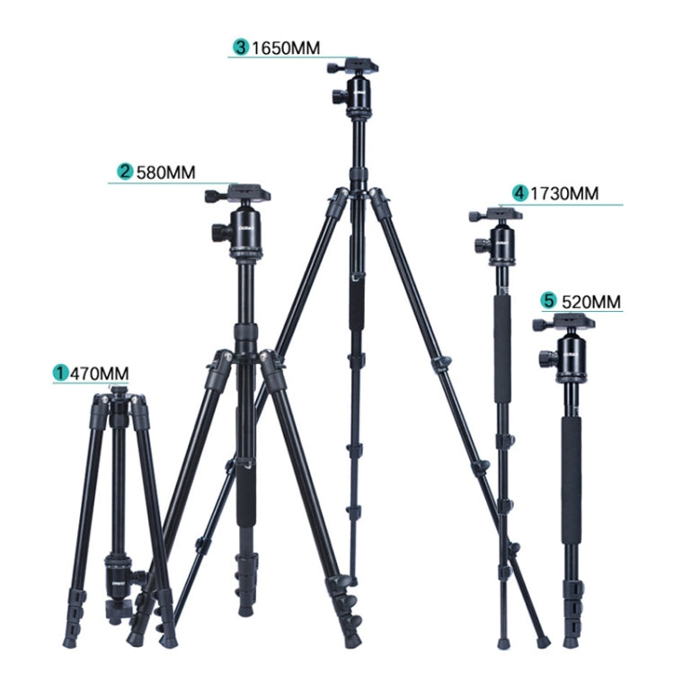 TRIOPO Oubao A-308S Adjustable Portable  Aluminum Alloy Tripod with Ball Head for SLR Camera - free shipping - PMC TechLife - Order now!
