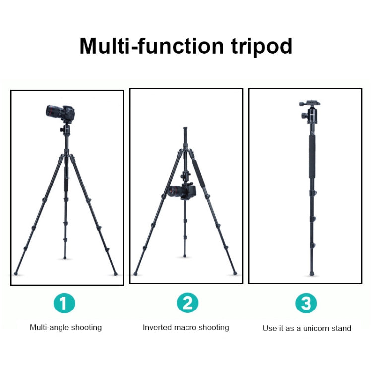 TRIOPO Oubao A-308S Adjustable Portable  Aluminum Alloy Tripod with Ball Head for SLR Camera - free shipping - PMC TechLife - Order now!
