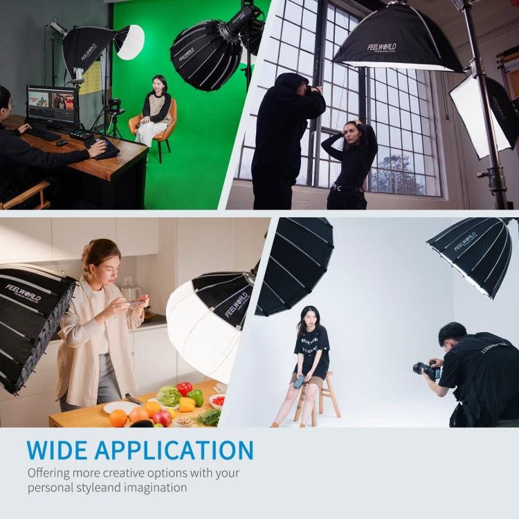 FEELWORLD FL125D 125W Daylight Point Source Video Light, Bluetooth APP Control(EU Plug) - free shipping - PMC TechLife - Order now!