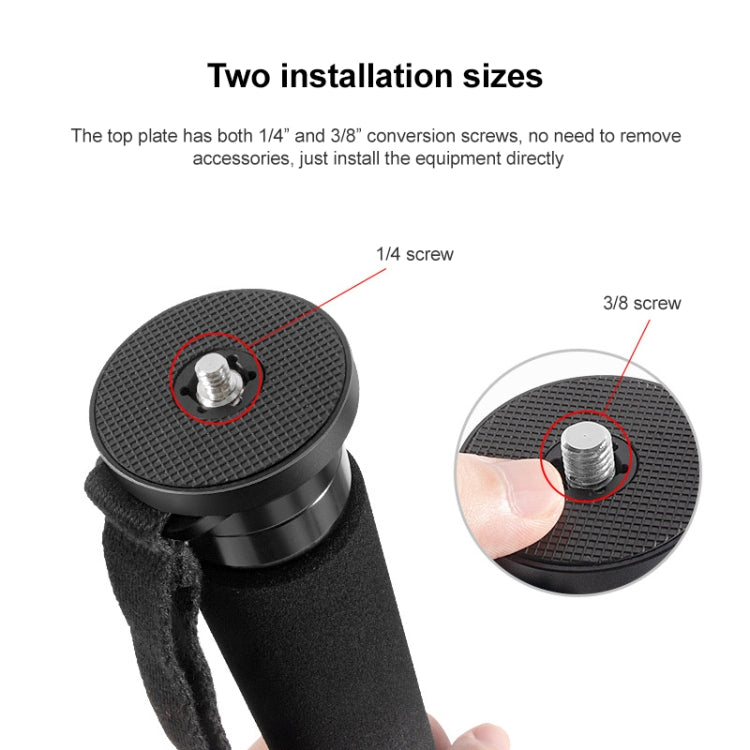 BEXIN P336C Camera Carbon Fiber Monopod Travel Live Selfie Bracket Holder - Monopods by BEXIN | Online Shopping South Africa | PMC TechLife | Buy Now Pay Later Mobicred