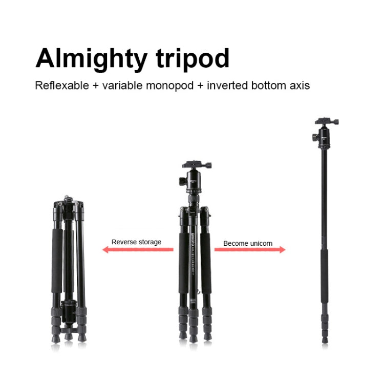 TRIOPO M2508 Multifunction Adjustable 4-Section Portable Aluminum Alloy Tripod Monopod with D-2A Ball Head for SLR Camera - free shipping - PMC TechLife - Order now!