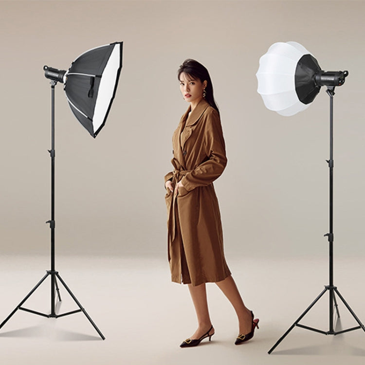 TRIOPO EX-60W Studio Flash Built-in Dissipate Heat System with EX-60III LED Single Light - free shipping - PMC TechLife - Order now!