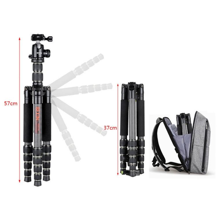BEXIN BX285C K36 Portable Carbon Fiber Tripod for Dslr Digital DV Camcorder - free shipping - PMC TechLife - Order now!