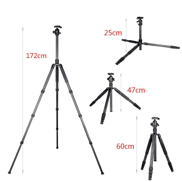 BEXIN W284C H36 Carbon Fiber Professional Photo Tripod for DSLR Camera - free shipping - PMC TechLife - Order now!