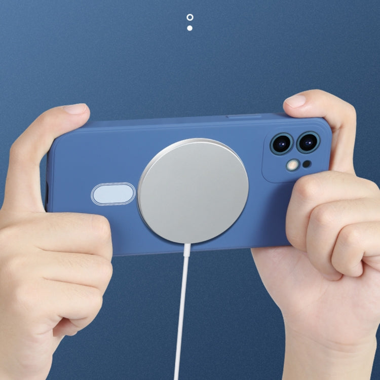 For iPhone 11 Pro Silicone Full Coverage Shockproof Magsafe Case (Pink) - iPhone 11 Pro Cases by PMC TechLife | Online Shopping South Africa | PMC TechLife