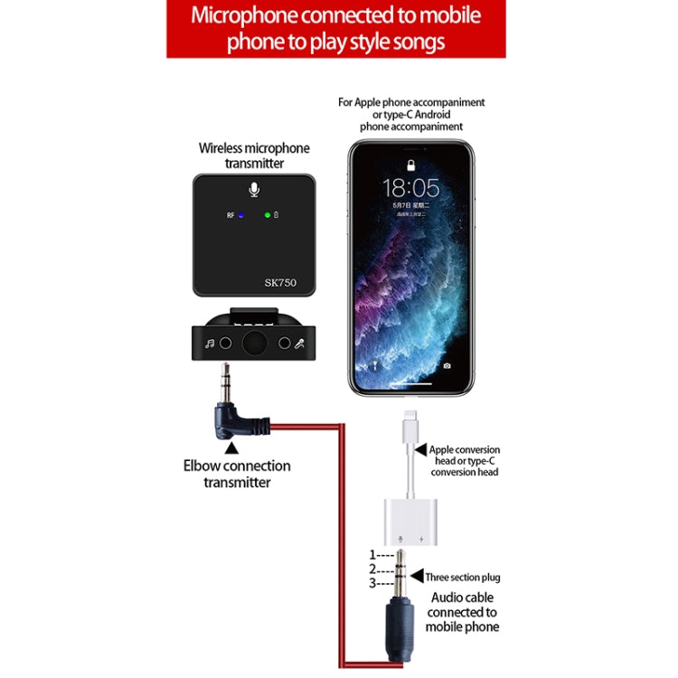 SK750 Type-C Charging One for One Wireless Lavalier Mini Microphone(Black) - Microphone by PMC TechLife | Online Shopping South Africa | PMC TechLife | Buy Now Pay Later Mobicred