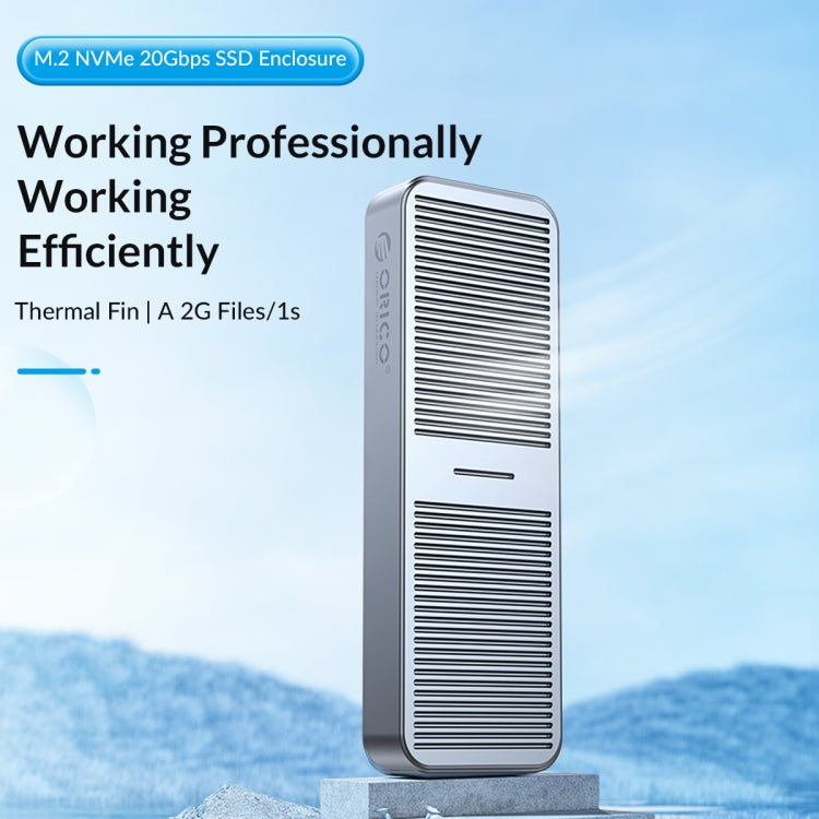 ORICO FV25C3-G2-SV 10Gbps USB3.2 Gen2 Type-C M.2 NVMe/NGFF(SATA) Dual Protocol SSD Enclosure(Silver) - free shipping - PMC Jewellery - Order now!