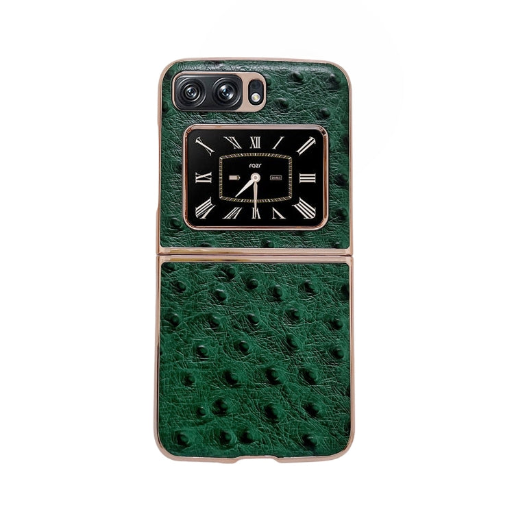 For Motorola Moto Razr 2022 Genuine Leather Ostrich Texture Nano Plating Phone Case(Green) - Motorola Cases by PMC TechLife | Online Shopping South Africa | PMC TechLife | Buy Now Pay Later Mobicred