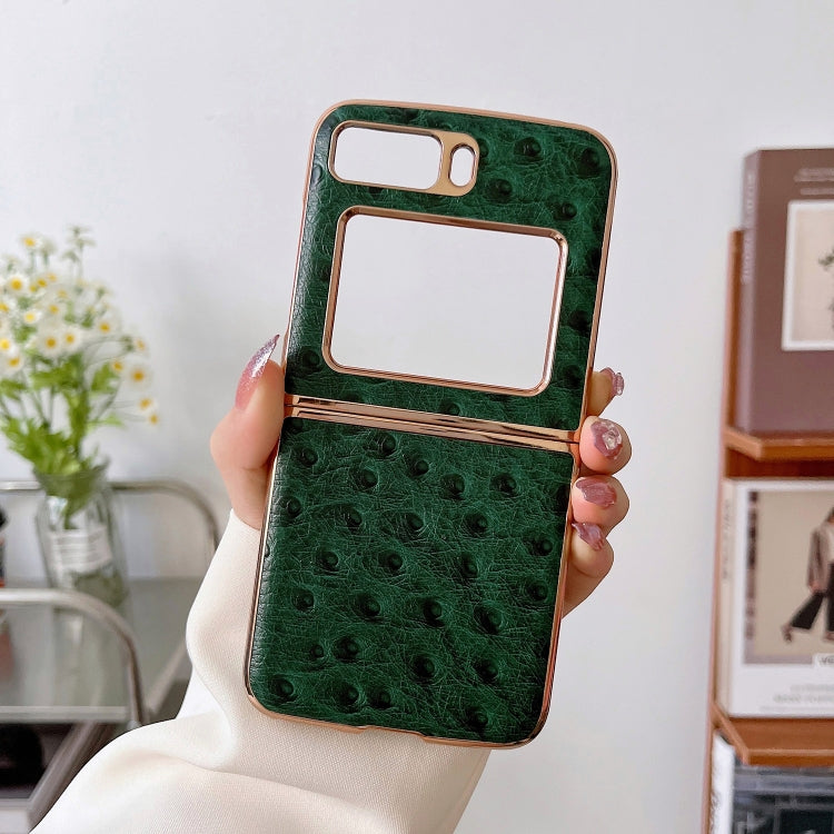 For Motorola Moto Razr 2022 Genuine Leather Ostrich Texture Nano Plating Phone Case(Green) - Motorola Cases by PMC TechLife | Online Shopping South Africa | PMC TechLife | Buy Now Pay Later Mobicred