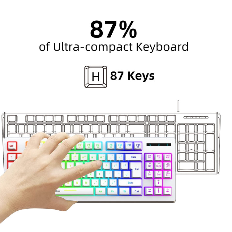 HXSJ L100 87 Keys RGB Backlit Film 2.4G Wireless Keyboard(White) - free shipping - PMC Jewellery - Order now!