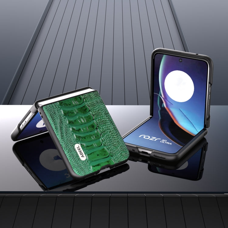 For Motorola Razr 40 Ultra ABEEL Genuine Leather Weilai Series Phone Case(Green) - Motorola Cases by PMC TechLife | Online Shopping South Africa | PMC TechLife | Buy Now Pay Later Mobicred