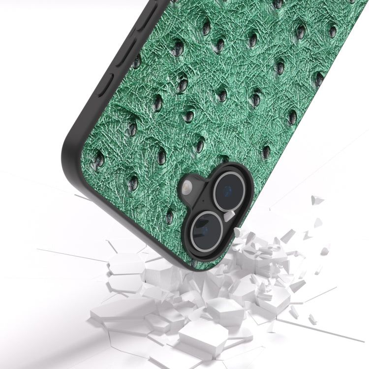 For iPhone 16 Plus ABEEL Genuine Leather Ostrich Texture Phone Case(Green) - iPhone 16 Plus Cases by PMC TechLife | Online Shopping South Africa | PMC TechLife | Buy Now Pay Later Mobicred