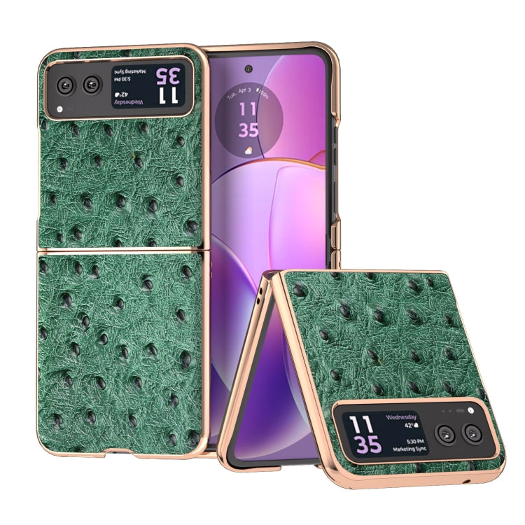 For Motorola Razr 40 Nano Plating Genuine Leather Ostrich Texture Phone Case(Green) - Motorola Cases by PMC TechLife | Online Shopping South Africa | PMC TechLife | Buy Now Pay Later Mobicred