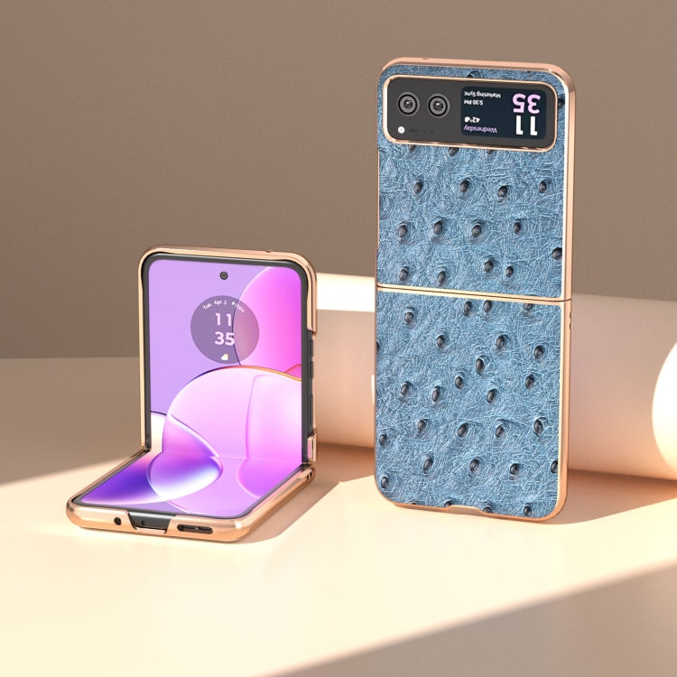 For Motorola Razr 40 Nano Plating Genuine Leather Ostrich Texture Phone Case(Blue) - Motorola Cases by PMC TechLife | Online Shopping South Africa | PMC TechLife | Buy Now Pay Later Mobicred